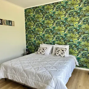  Apartment Oasis -